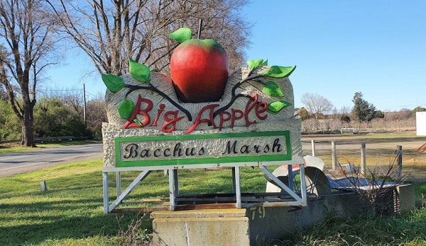 DU LỊCH NƯỚC ÚC - KHÁM PHÁ BACCHUS MARSH - MELBOURNE TẬN TAY HÁI TRÁI CÂY THƠM NGON CHÍN MỌNG 2026 