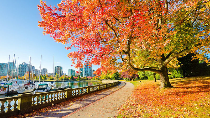 XUẤT KHẨU LAO ĐỘNG ÚC VÀ CANADA HIỆN NAY – THỰC TRẠNG VÀ CƠ HỘI