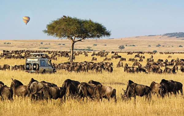 CHÂU PHI KỲ THÚ 2025 CHỨNG KIẾN CUỘC DI CƯ VĨ ĐẠI MÙA KHÔ HÀNG NĂM TẠI 2 NƯỚC ĐÔNG PHI KENYA -TANZANIA LIÊN TUYẾN 11 NGÀY 10 ĐÊM TỪ HÀ NỘI TP HỒ CHÍ MINH TRỌN GÓI GIÁ RẺ HÀNH TRÌNH ĐỘC LẠ CÓ MỘT KHÔNG HAI