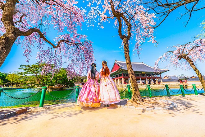 MÙA XUÂN HÀN QUỐC MÙA HOA ANH ĐÀO TOUR SUMMIT TRAVEL 6 NGÀY 5 ĐÊM HÀ NỘI (SÀI GÒN) - BUSAN - JINHAE- DU THUYỀN 5* TÀU VEN BIỂN - SEOUL SAUNA - NAMI - HÁI DÂU CÔNG VIÊN YEOUIDO GIÁ RẺ DỊCH VỤ CHẤT LƯỢNG CAO 