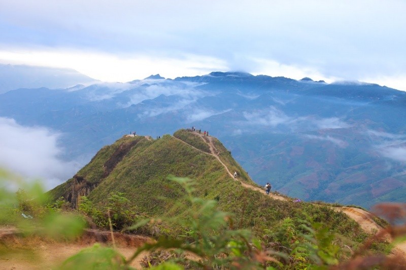 HÀ NỘI -MỘC CHÂU SĂN MÂY TÀ XUA -BẮC YÊN 