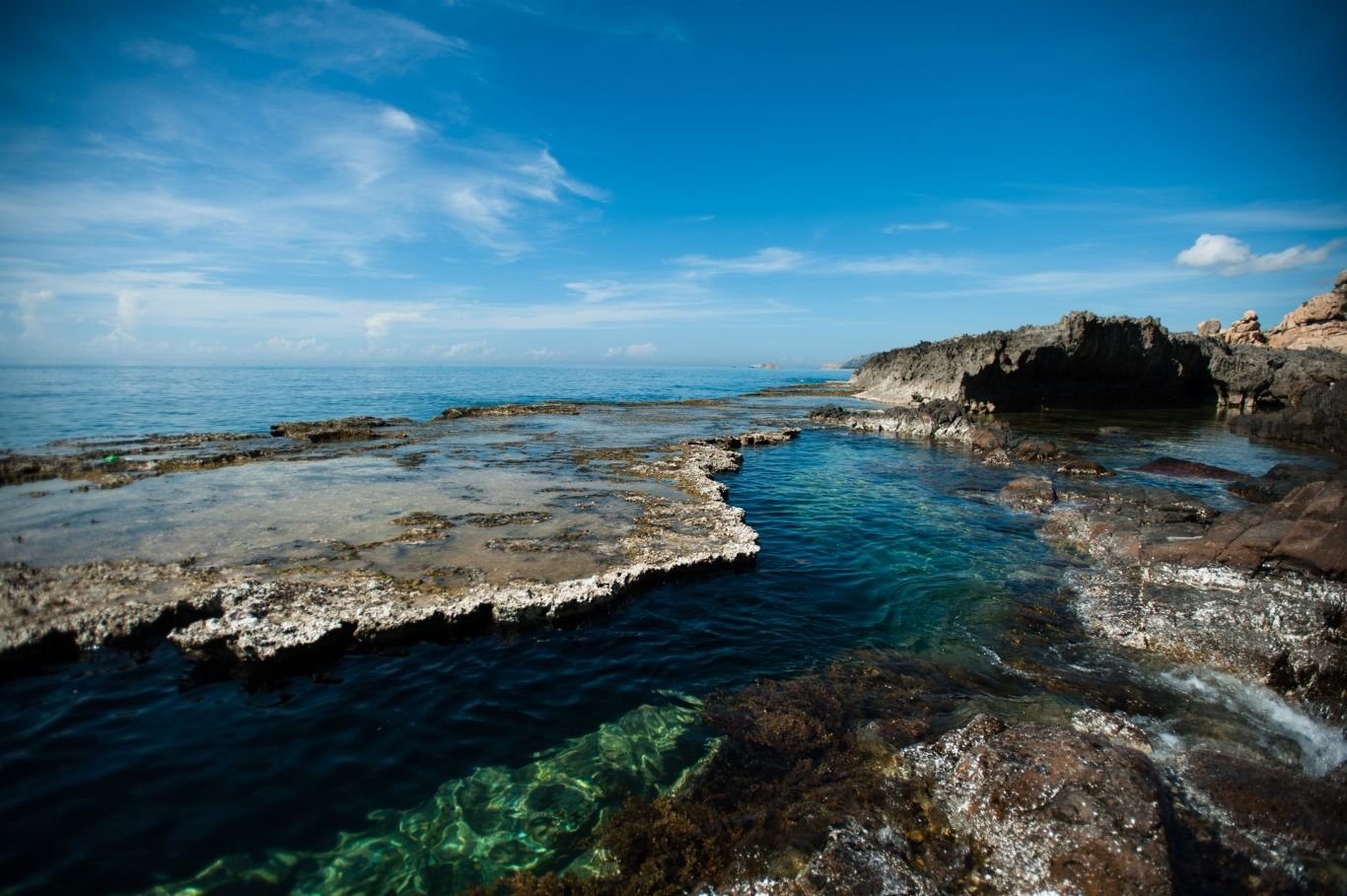 HÀ NỘI - NINH THUẬN - KHÁM PHÁ XỨ SỞ NHO, CỪU